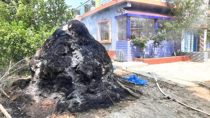 আদমদীঘিতে সালিশ-বৈঠকের ভিডিও করায় বসতবাড়িতে হামলা : খড়ের পালায় অগ্নিসংযোগ, আহত দুই নারী